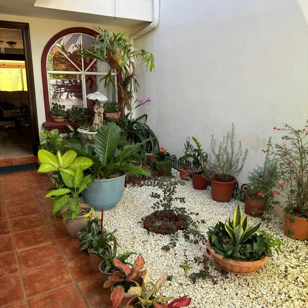 Villa Real, Santa Ana